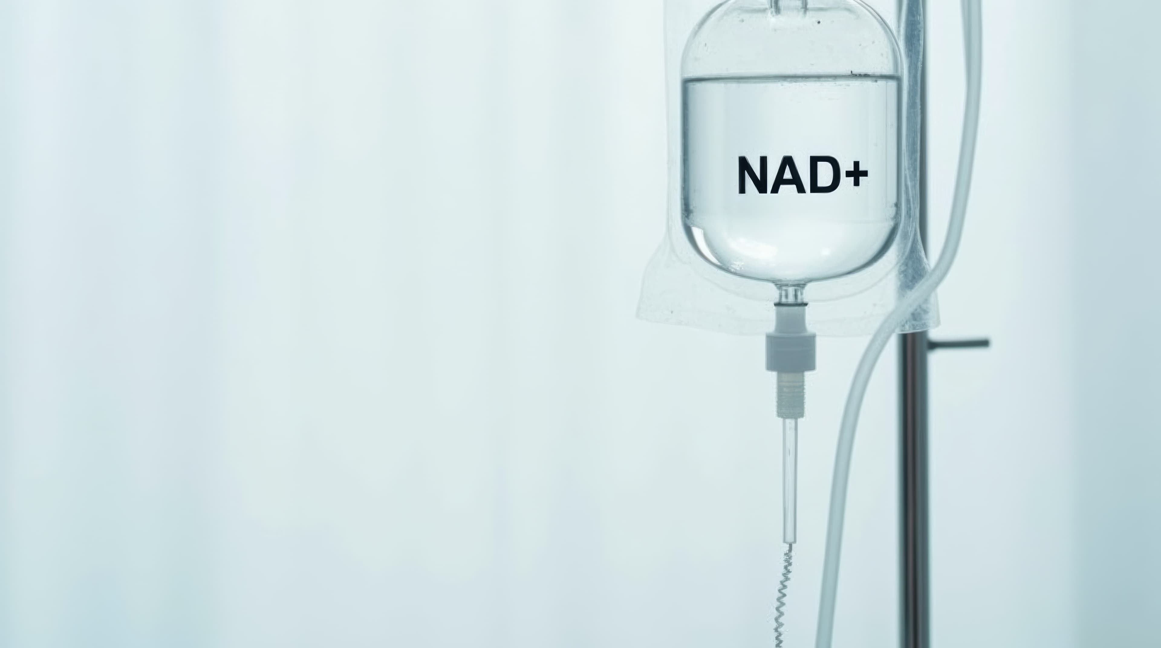 IV NAD⁺